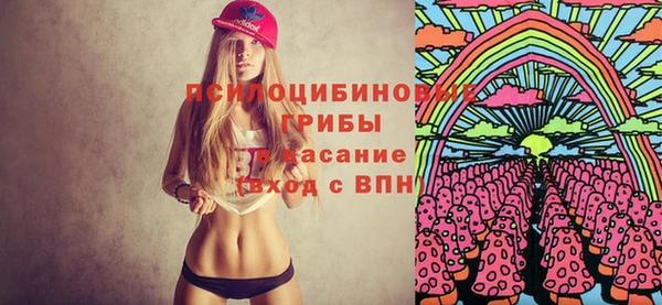 ПСИЛОЦИБИНОВЫЕ ГРИБЫ Балахна