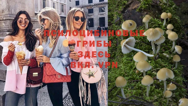 шишки Балабаново