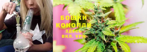 шишки Балабаново