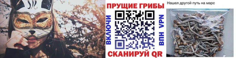 где купить наркотик  Корсаков  Галлюциногенные грибы прущие грибы 