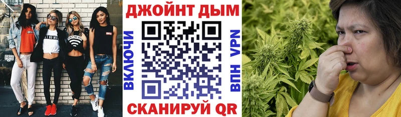 где найти   Корсаков  Каннабис гибрид 